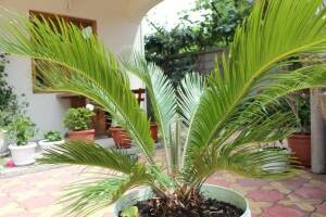 Изображение отеля / гостиницы "Гостевой дом «У Любавы»"