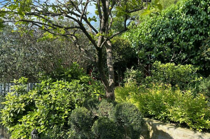 Изображение Изображение гостиницы &quot;Гостевой дом «Агеевъ»&quot; #3 #1