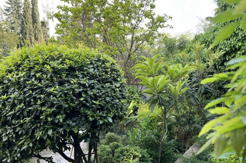 Изображение Изображение гостиницы &quot;Гостевой дом «Агеевъ»&quot; #4 #2