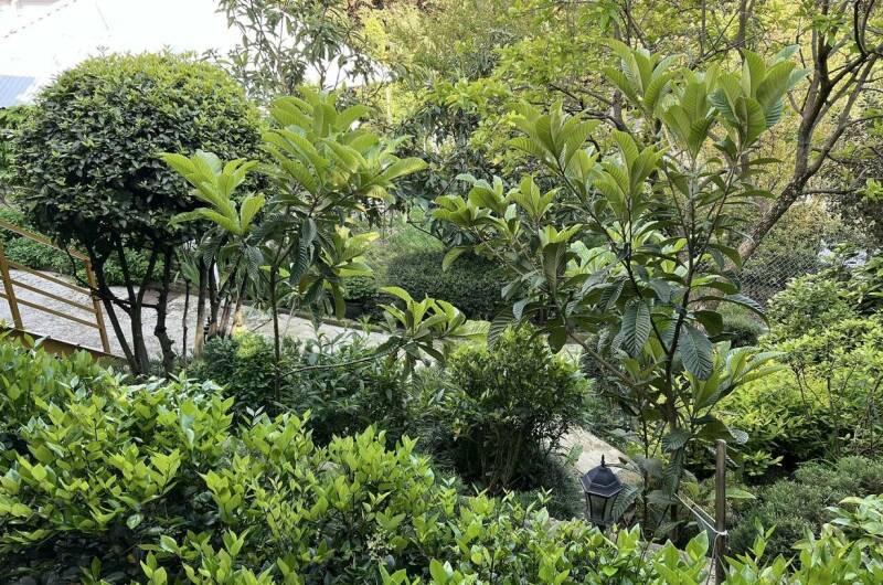 Изображение Изображение гостиницы &quot;Гостевой дом «Агеевъ»&quot; #8 #6