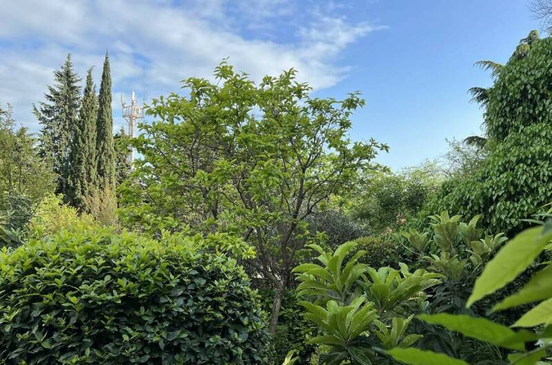 Изображение Изображение гостиницы &quot;Гостевой дом «Агеевъ»&quot; #9 #7