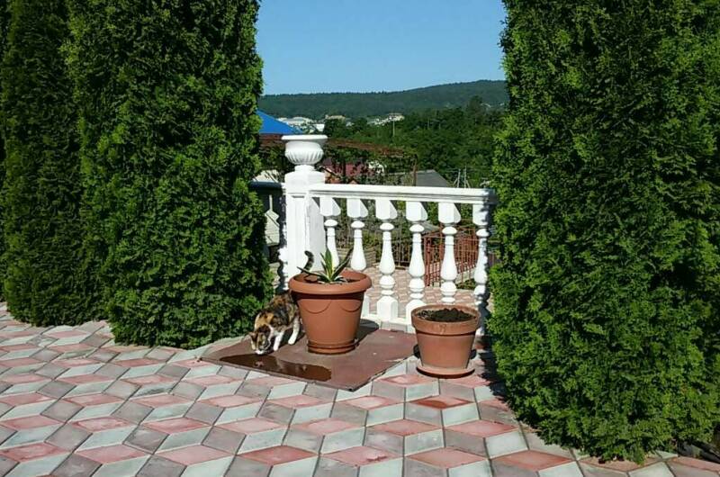 Изображение Изображение гостиницы &quot;Гостевой дом «Алена»&quot; #5 #3