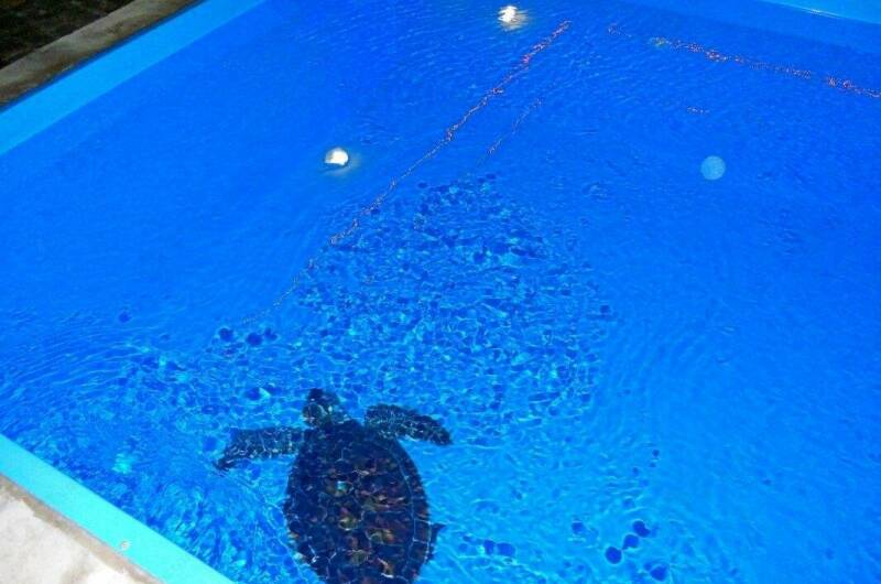 Изображение Изображение гостиницы &quot;Частный дом на Северной&quot; #9 #7