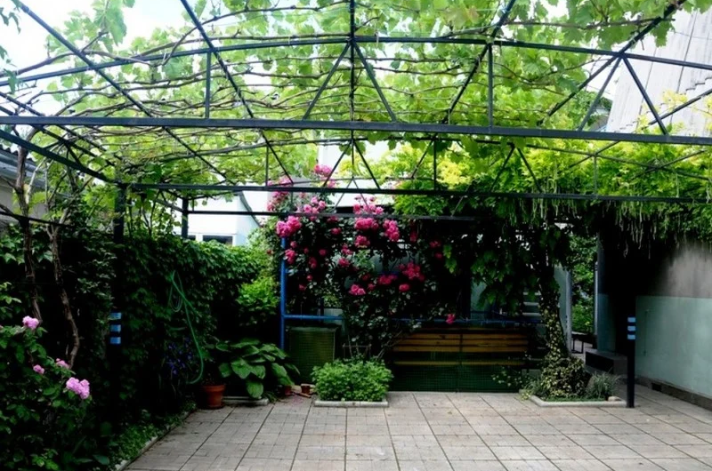 Изображение Изображение гостиницы &quot;Гостевой дом «Домик у моря»&quot; #3 #1