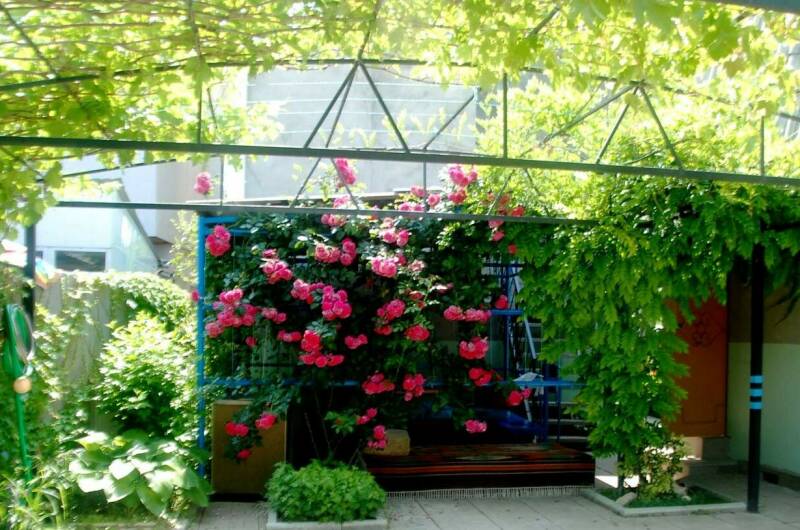 Изображение Изображение гостиницы &quot;Гостевой дом «Домик у моря»&quot; #5 #3