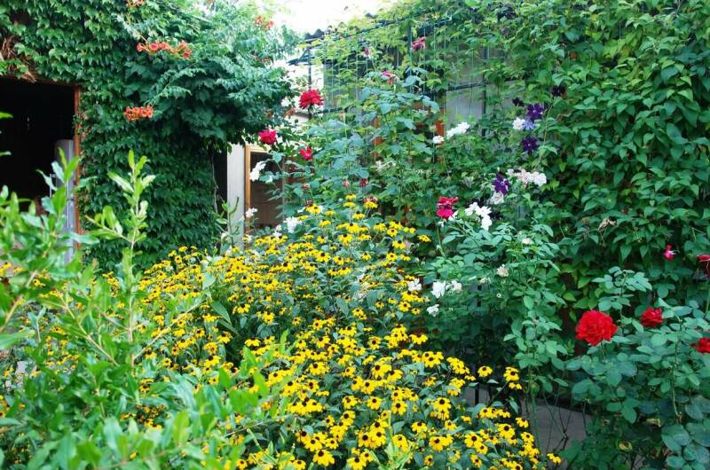 Изображение Изображение гостиницы &quot;Гостевой дом «Домик у моря»&quot; #9 #7