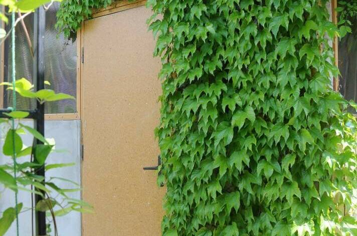 Изображение Изображение гостиницы &quot;Гостевой дом «Домик у моря»&quot; #10 #8