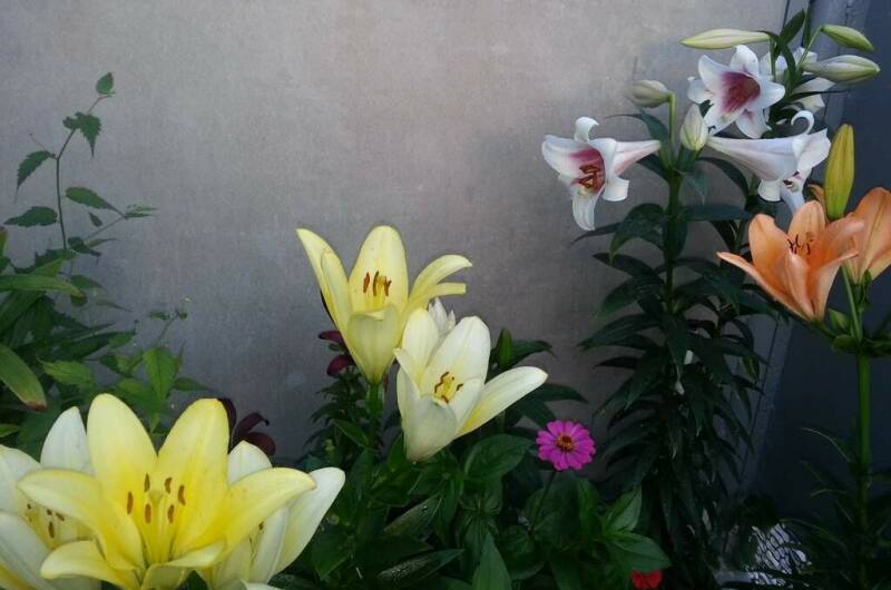 Изображение Изображение гостиницы &quot;Гостевой дом на Школьной&quot; #4 #2