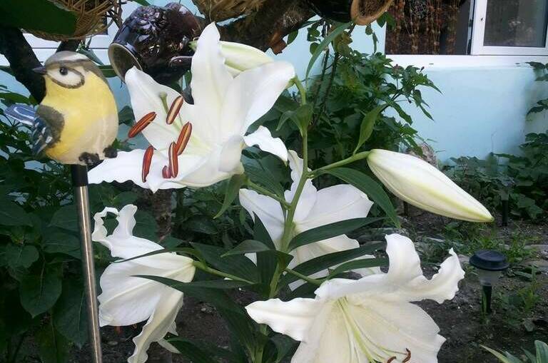 Изображение Изображение гостиницы &quot;Гостевой дом на Школьной&quot; #9 #7