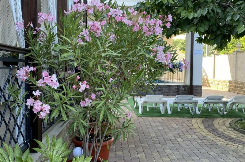 Изображение Изображение квартиры &quot;Этаж дома под ключ от 6-9 человек&quot; #7 #5