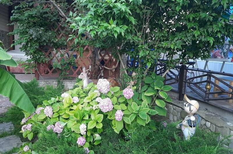 Изображение Изображение гостиницы &quot;Частный сектор «Удача»&quot; #5 #3