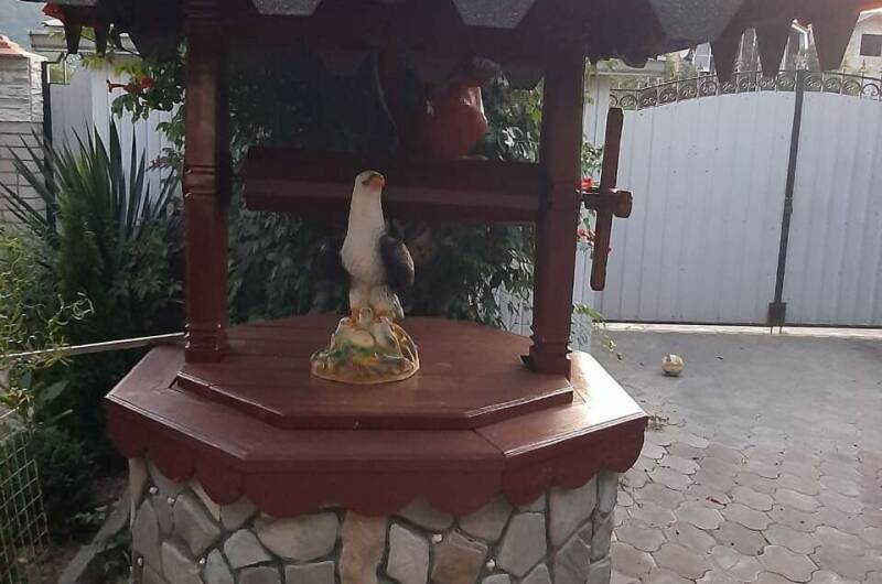 Изображение Изображение гостиницы &quot;Частный сектор «Удача»&quot; #9 #7