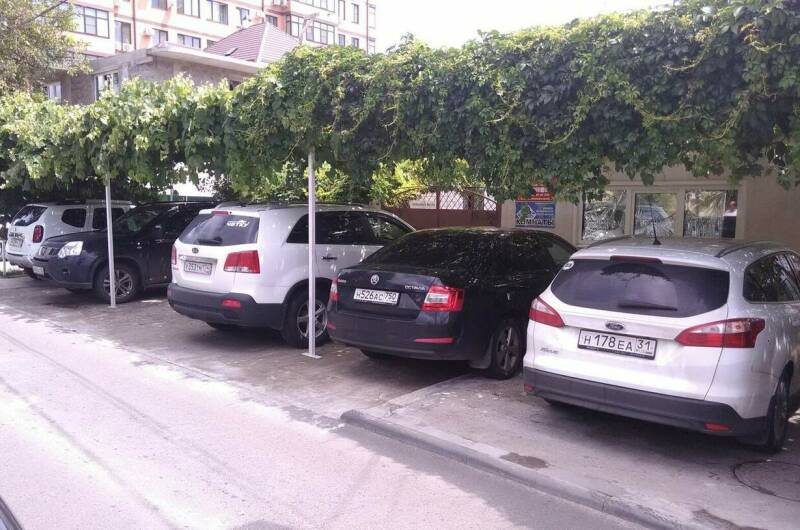 Изображение Изображение гостиницы &quot;Гостевой дом «Дубрава»&quot; #10 #8