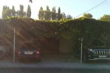 Изображение Изображение гостиницы &quot;Гостевой дом «Дубрава»&quot; #11 #9