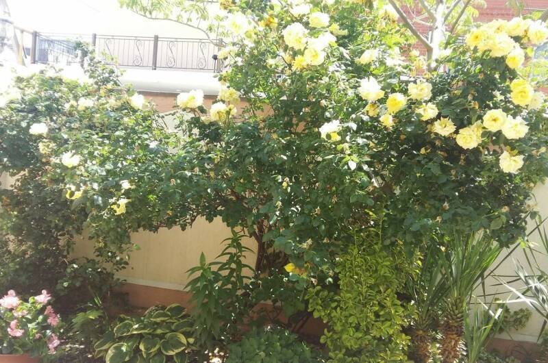 Изображение Изображение гостиницы &quot;Гостевой дом «Приветливый»&quot; #7 #5