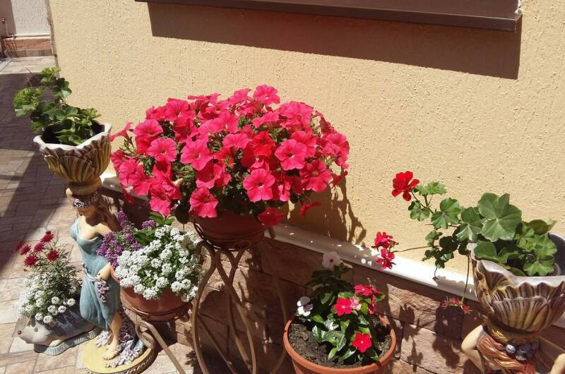 Изображение Изображение гостиницы &quot;Гостевой дом «Приветливый»&quot; #11 #9