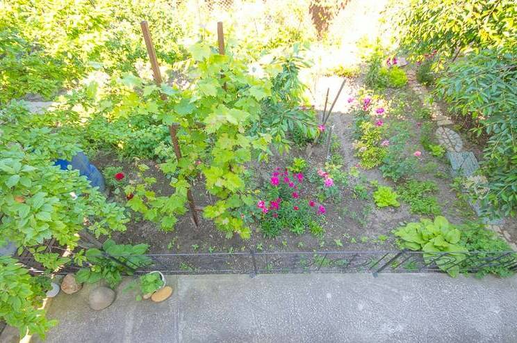 Изображение Изображение гостиницы &quot;Гостевой дом «У Олега»&quot; #6 #4