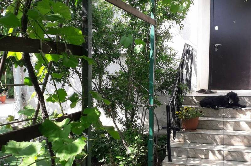 Изображение Изображение гостиницы &quot;Гостевой дом «Добрый»&quot; #4 #2