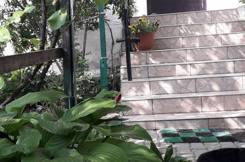 Изображение Изображение гостиницы &quot;Гостевой дом «Добрый»&quot; #10 #8