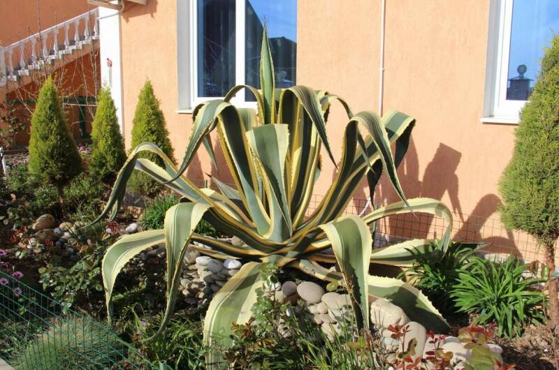 Изображение Изображение гостиницы &quot;Гостевой дом «Возрождение»&quot; #7 #5