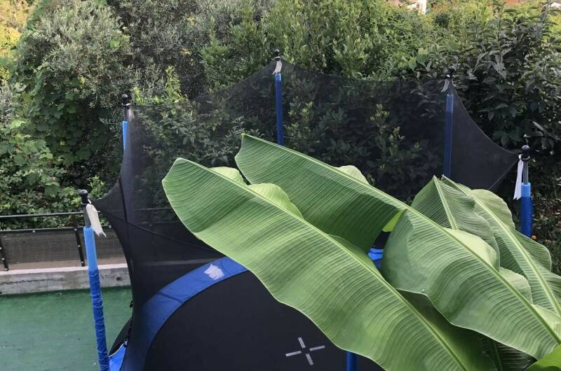 Изображение Изображение гостиницы &quot;Гостевой дом «Relax»&quot; #7 #5