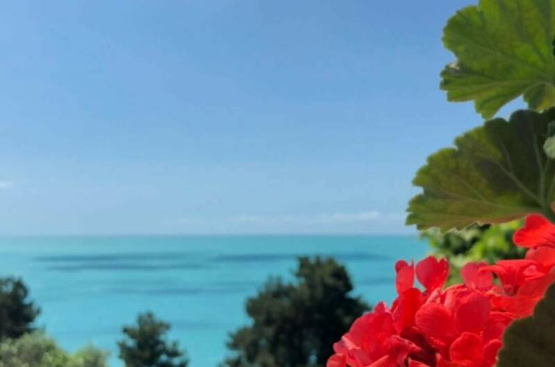 Изображение Изображение гостиницы &quot;Гостевой дом «Relax»&quot; #8 #6