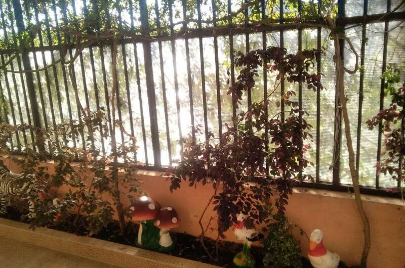 Изображение Изображение гостиницы &quot;Гостевой дом «Рузана»&quot; #10 #8