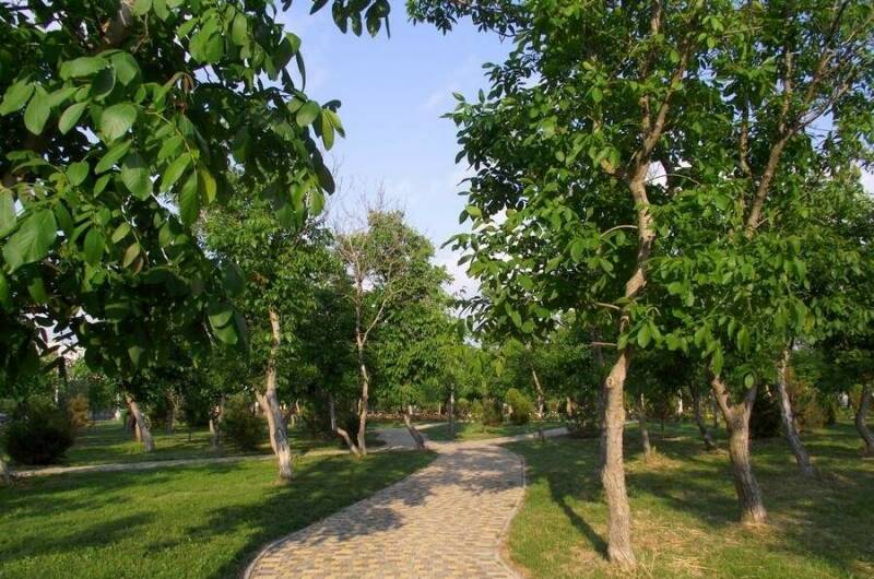 Изображение Изображение квартиры &quot;Однокомнатная квартира на ул. Ивана Голубца&quot; #10 #8