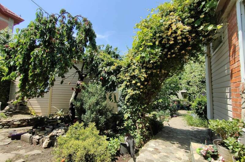 Изображение Изображение гостиницы &quot;Гостевой дом «Алла-Роза»&quot; #6 #4