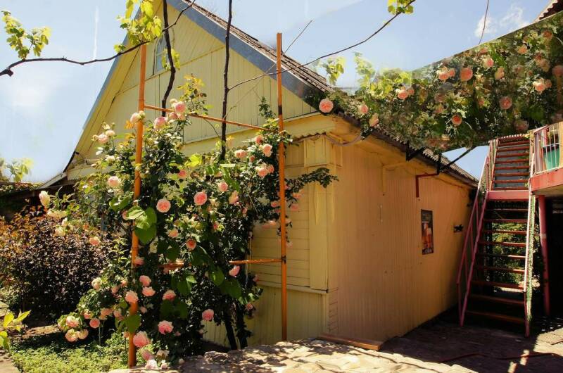 Изображение Изображение гостиницы &quot;Гостевой дом «Алла-Роза»&quot; #10 #8