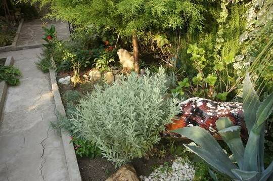 Изображение Изображение гостиницы &quot;Гостевой Дом «У Богдана»&quot; #6 #4