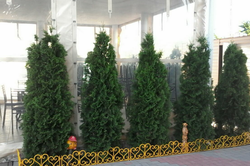 Изображение Изображение гостиницы &quot;Гостевой дом «Рандеву»&quot; #8 #6