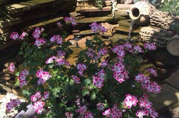 Изображение Изображение гостиницы &quot;Мини-отель «Малибу»&quot; #5 #3