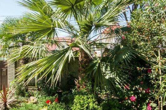 Изображение Изображение гостиницы &quot;Гостевой дом «Лилия»&quot; #9 #7