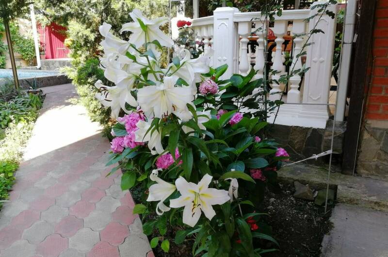 Изображение Изображение гостиницы &quot;Гостевой дом «11 регион»&quot; #7 #5