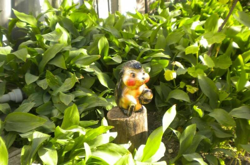 Изображение Изображение гостиницы &quot;Частный дом на Черноморской 4&quot; #3 #1