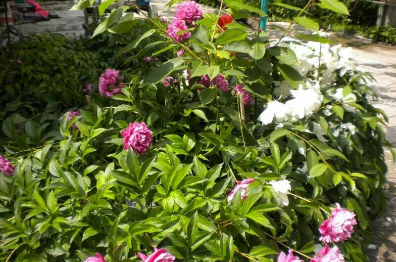 Изображение Изображение гостиницы &quot;Частный дом на Черноморской 4&quot; #10 #8