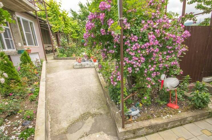 Изображение Изображение гостиницы &quot;Частный сектор «Афродита»&quot; #4 #2