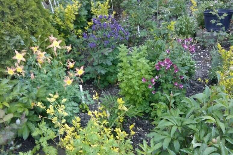 Изображение Изображение гостиницы &quot;Частный сектор «Афродита»&quot; #8 #6