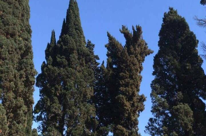 Изображение Изображение гостиницы &quot;Отель «Анна»&quot; #8 #6