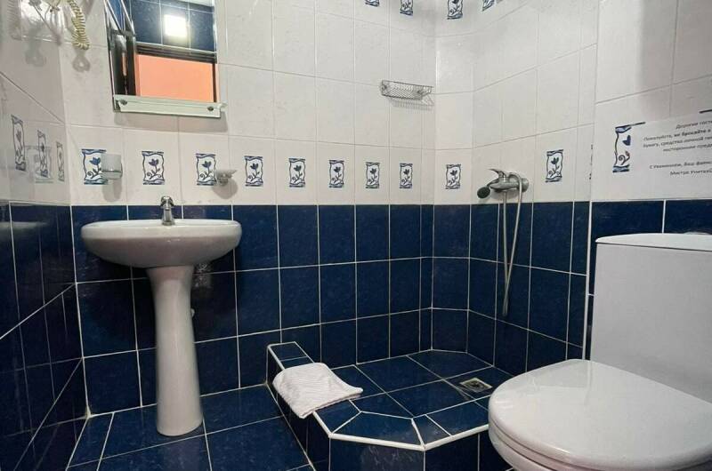 Изображение Изображение гостиницы &quot;Отель «Анна»&quot; #9 #7