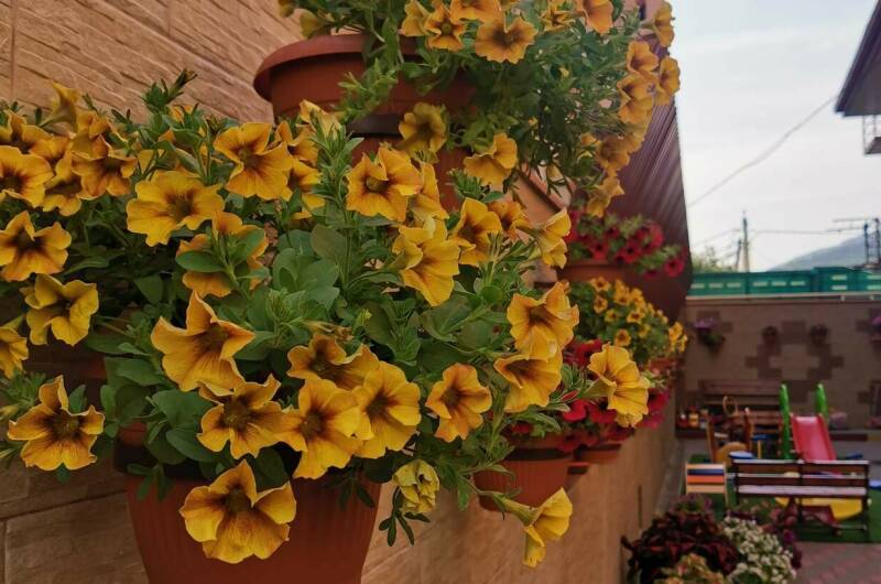 Изображение Изображение гостиницы &quot;Гостевой дом «Абсолют»&quot; #11 #9