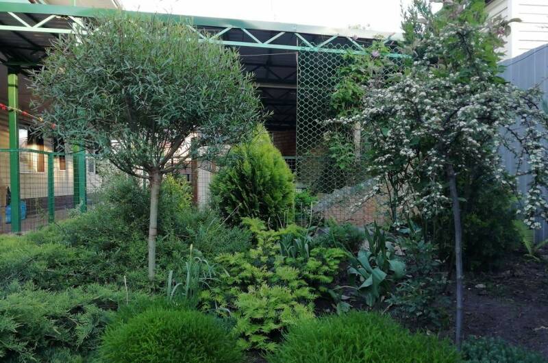 Изображение Изображение гостиницы &quot;Мини-гостиница «В гостях у гномов»&quot; #4 #2