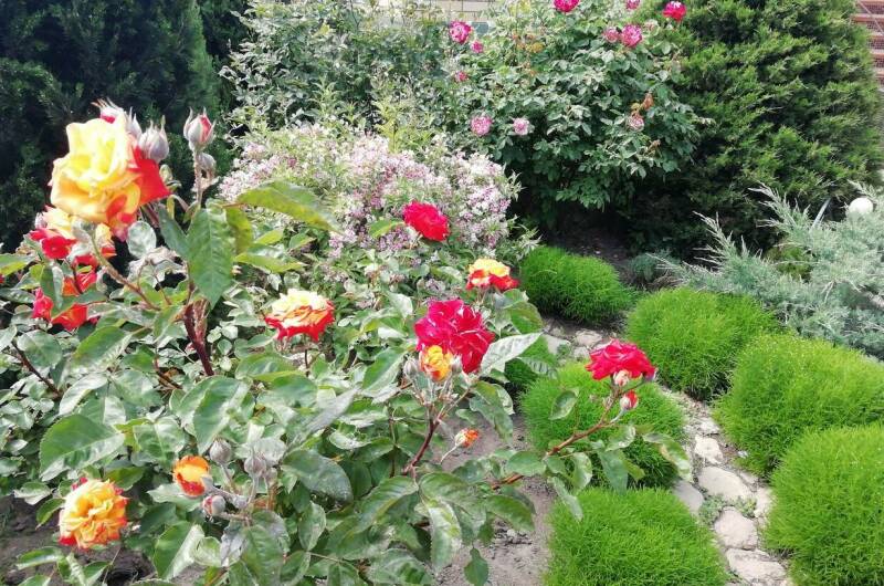 Изображение Изображение гостиницы &quot;Мини-гостиница «В гостях у гномов»&quot; #5 #3