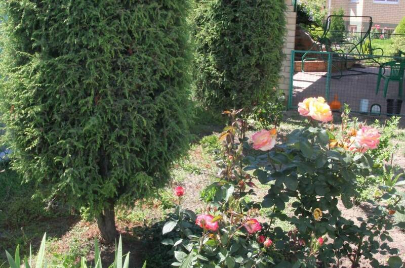 Изображение Изображение гостиницы &quot;Мини-гостиница «В гостях у гномов»&quot; #8 #6