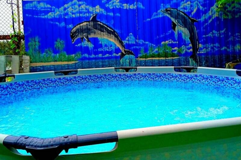 Изображение Изображение гостиницы &quot;Дача «Сафари»&quot; #3 #1