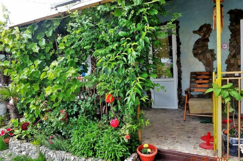 Изображение Изображение гостиницы &quot;Дача «Сафари»&quot; #8 #6