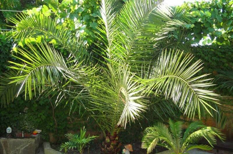 Изображение Изображение гостиницы &quot;Гостевой дом «Семейный очаг»&quot; #10 #8