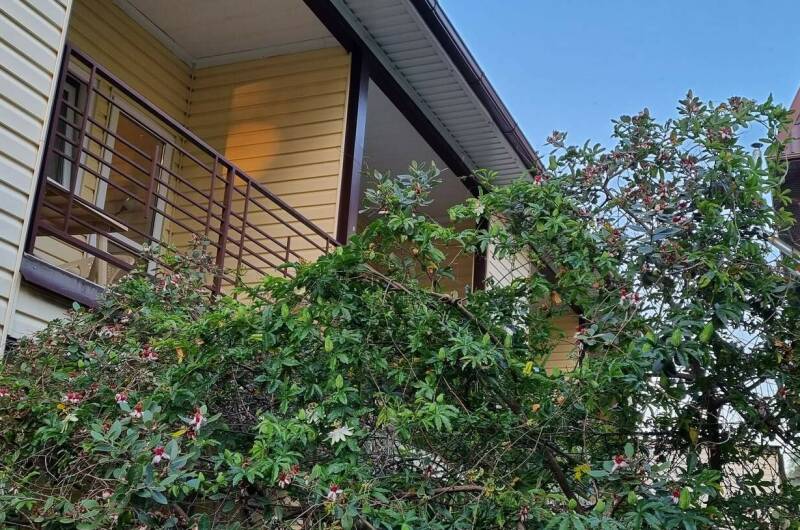 Изображение Изображение гостиницы &quot;Частное домовладение «Санрайз»&quot; #6 #4