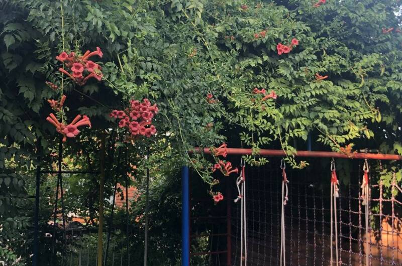 Изображение Изображение гостиницы &quot;Семейный гостевой дом «100%»&quot; #10 #8